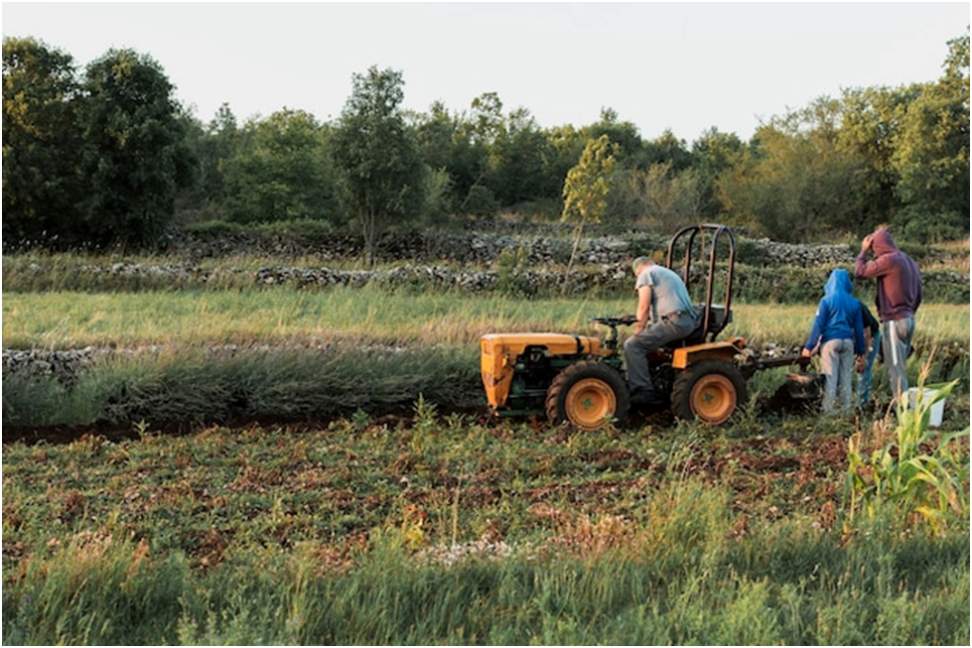 Safety First: Proper Precautions for Tractor Bush Hogging